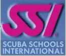 http://www.divessi.com